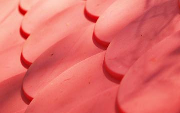 Lower Whitley plastic roof costs