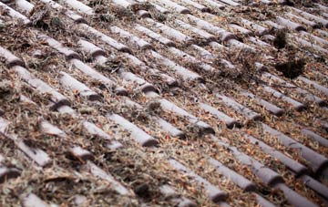 Lower Whitley roof cleaning companies