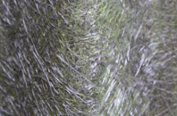 Lower Whitley fibreglass roof work